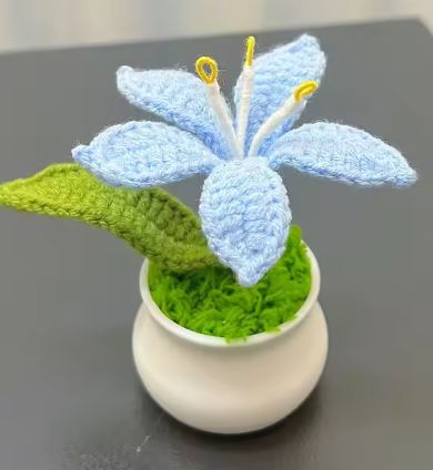 Handmade Crochet Lily flower pot - the colourful house plant you can not kill