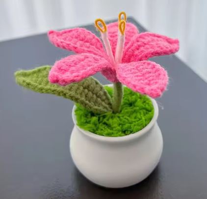 Handmade Crochet Lily flower pot - the colourful house plant you can not kill