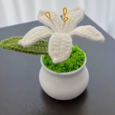 Handmade Crochet Lily flower pot - the colourful house plant you can not kill