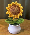 Handmade Crochet Sunflower pot - the colourful house plant you can not kill