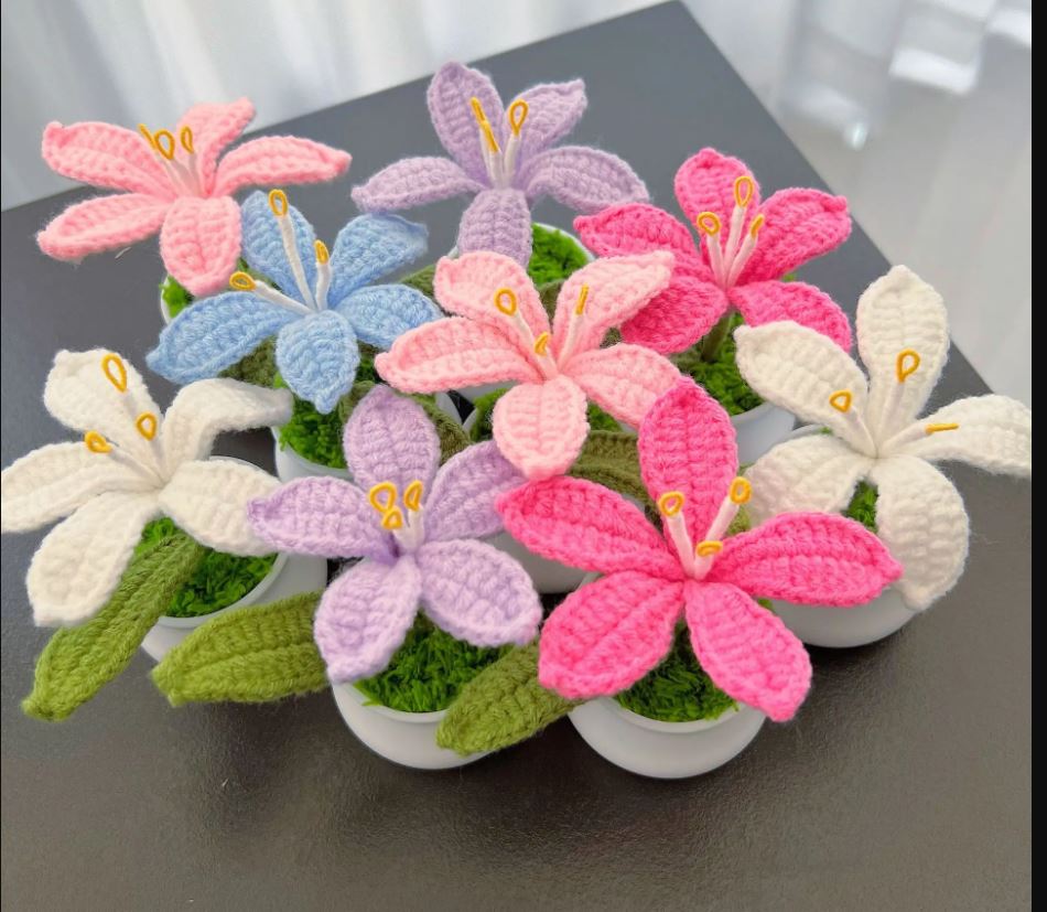 Handmade Crochet Lily flower pot - the colourful house plant you can not kill