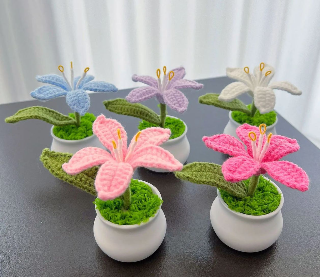 Handmade Crochet Lily flower pot - the colourful house plant you can not kill