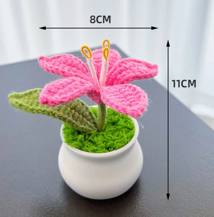 Handmade Crochet Lily flower pot - the colourful house plant you can not kill