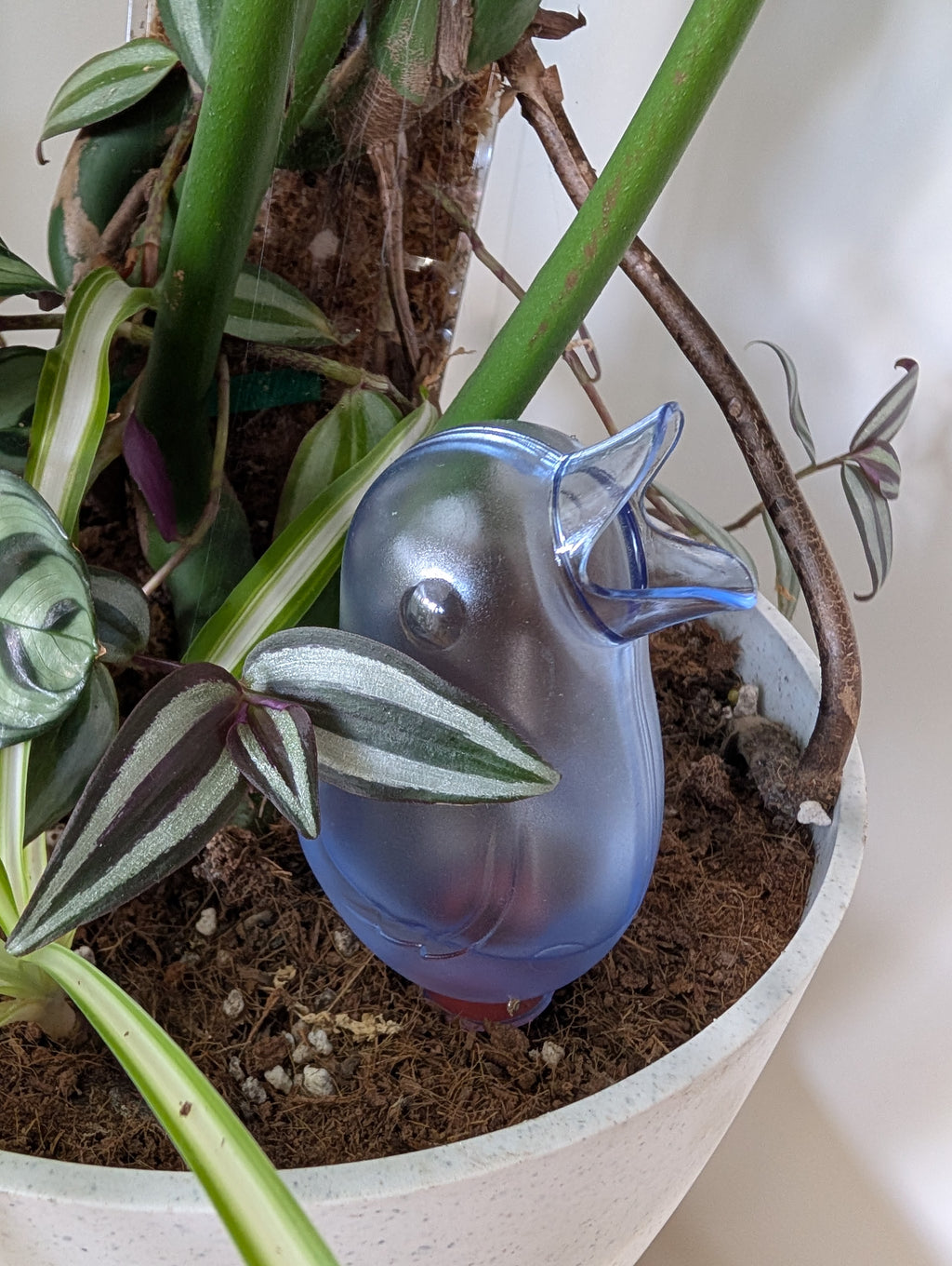 Blue Bird Self-Watering Ceramic and plastic spike